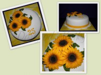 /album/kvetinove/slunecnice-jpg1/