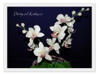 /album/figurky-predmety/orchid-jpg1/